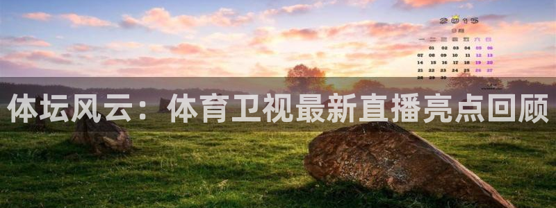 jrkan体育直播：体坛风云：体育卫视最新直播亮点回顾