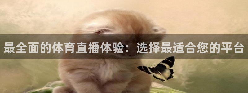 jrkan2023免费体育直播：最全面的体育直播体验：选择最适合您的平台