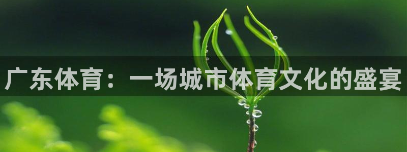 jrkan直播体育：广东体育：一场城市体育文化的盛宴