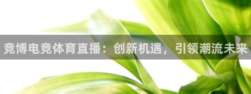 jrkan低调看高清直播nba：竞博电竞体育直播：创新机遇，引领潮流未来