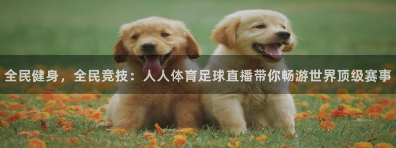jrkan直播nba在线观看：全民健身，全民竞技：人人体育足球直播带你畅游世界顶级赛事