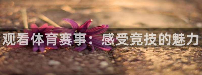 jrkankan直播体育：观看体育赛事：感受竞技的魅力