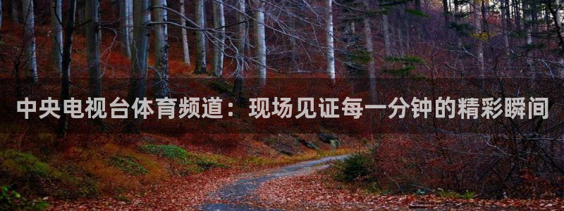 jrkan直播：中央电视台体育频道：现场见证每一分钟的精彩瞬间