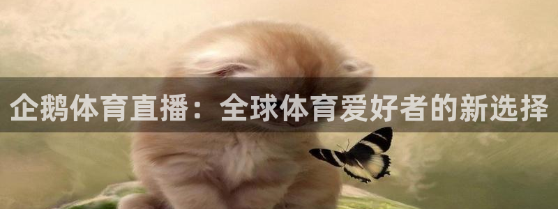 jrkan视频直播nba：企鹅体育直播：全球体育爱好者的新选择
