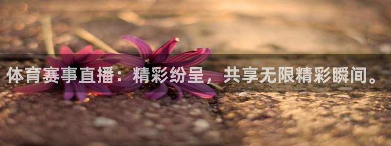 jrkan直播篮球：体育赛事直播：精彩纷呈，共享无限精彩瞬间。